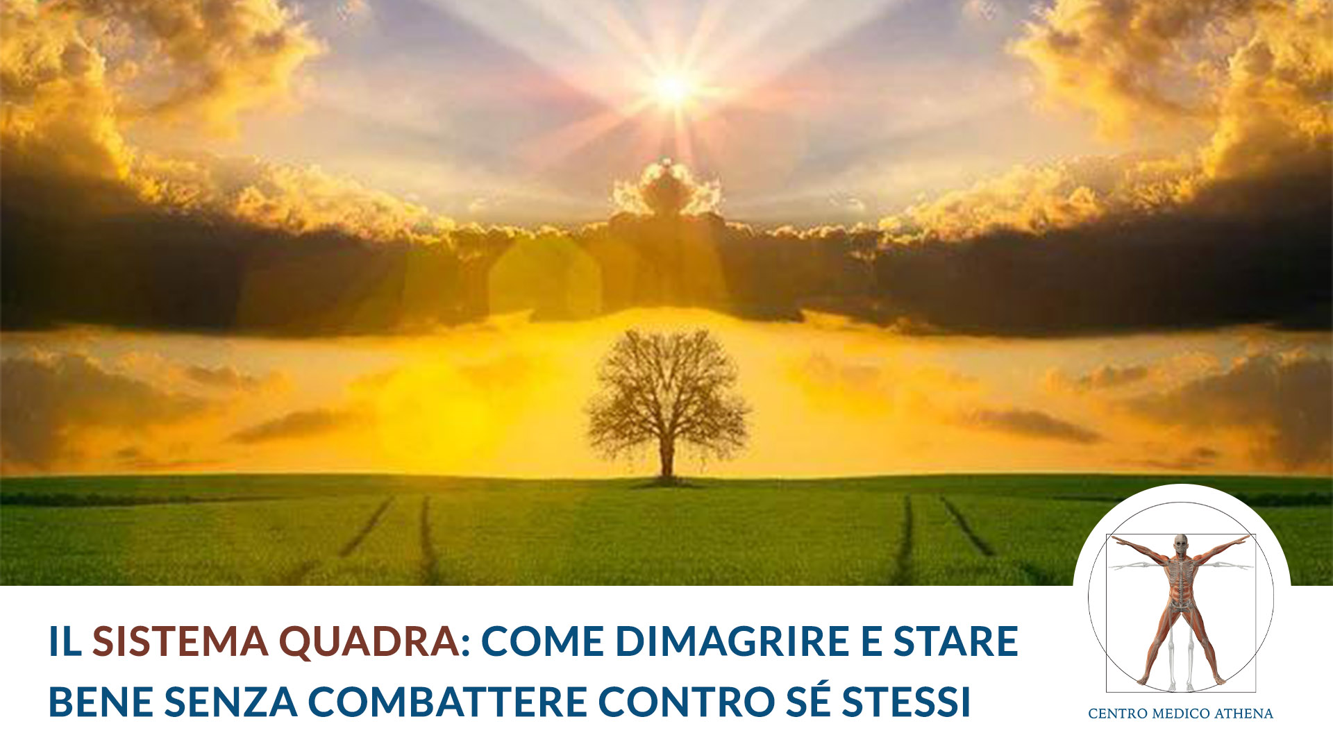 Il Sistema Quadra- Come dimagrire e stare bene senza combattere contro sé stessi